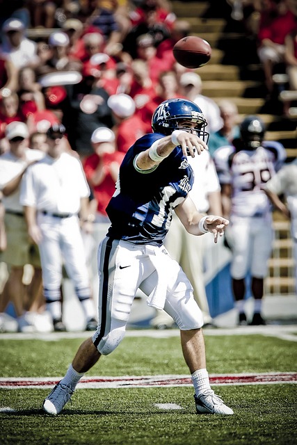 量发展的保 量发展的保